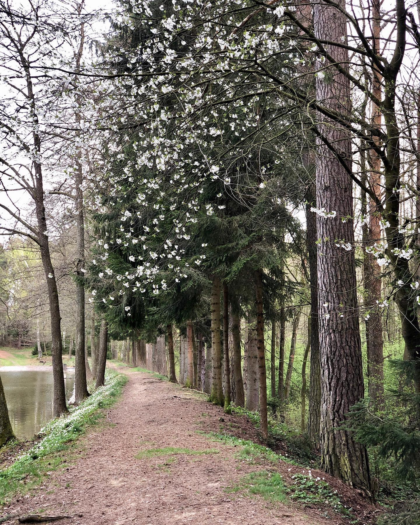 Rekonstrukce 2023–2024